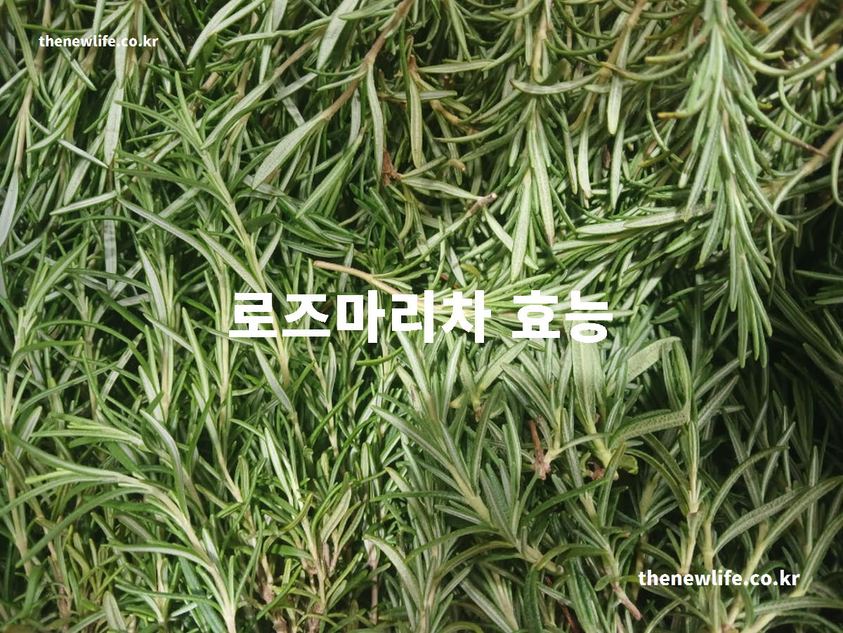 로즈마리차 효능 대표 실사진