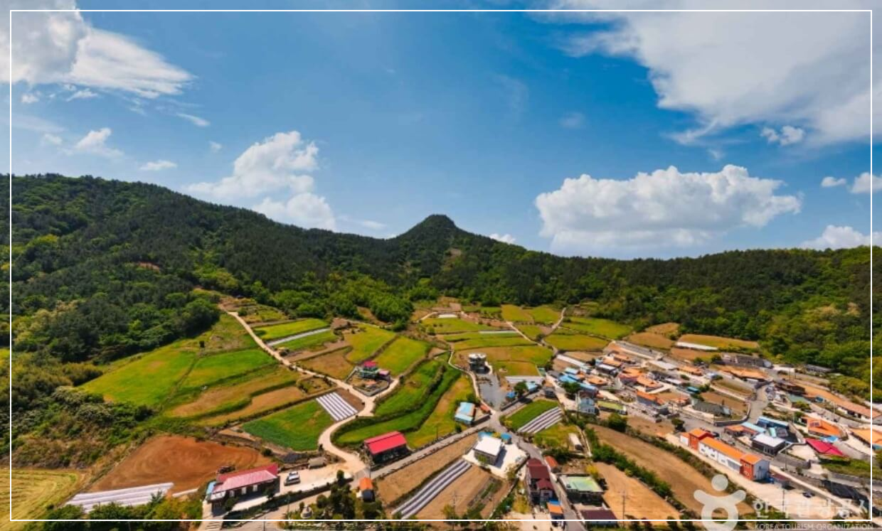 장흥 가볼만한곳 베스트10 선학동 유채마을