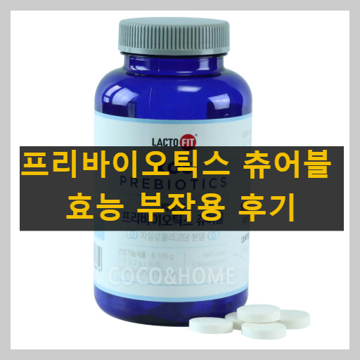 락토핏 프리바이오틱스 츄어블