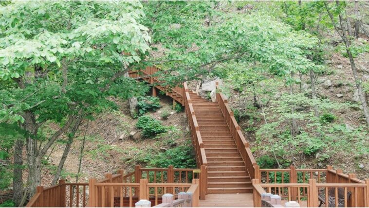 황정산자연휴양림 산책로