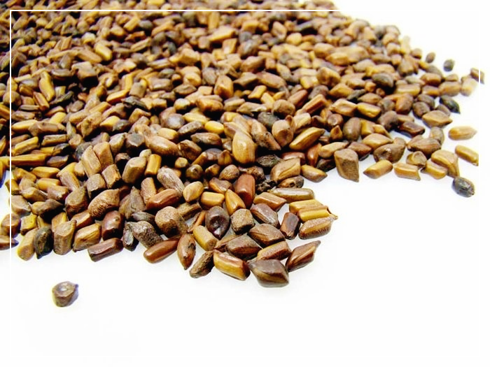 구내염에-좋은-음식