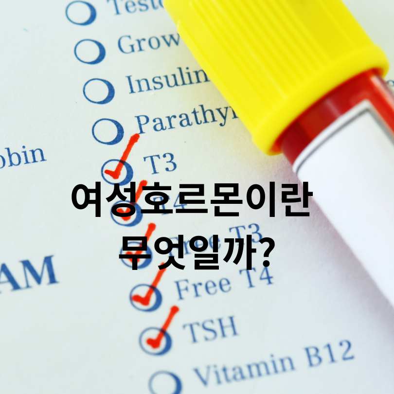 여성호르몬 수치 검사 정상범위와 결과 해석