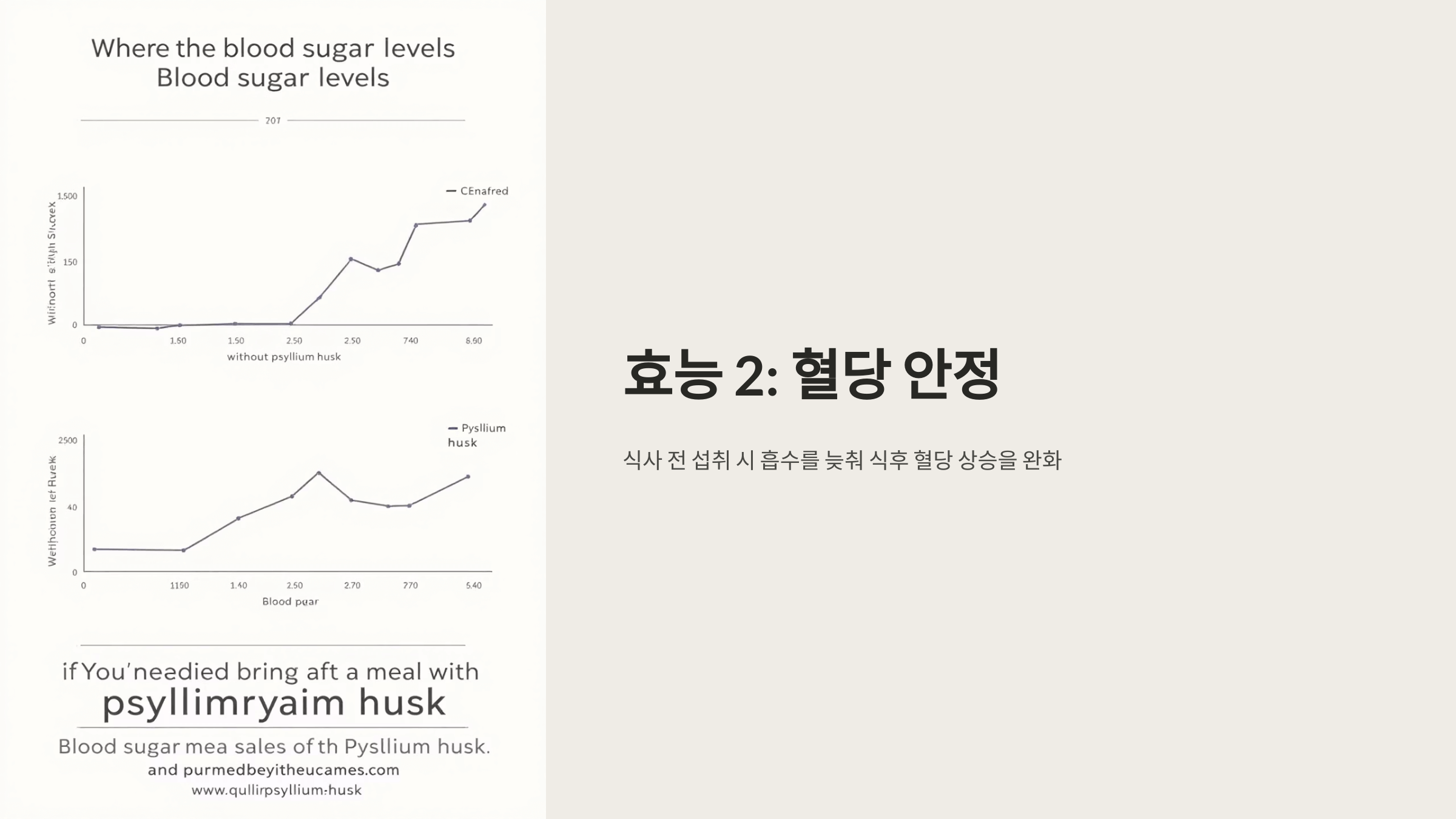 차전자피 사진입니다.