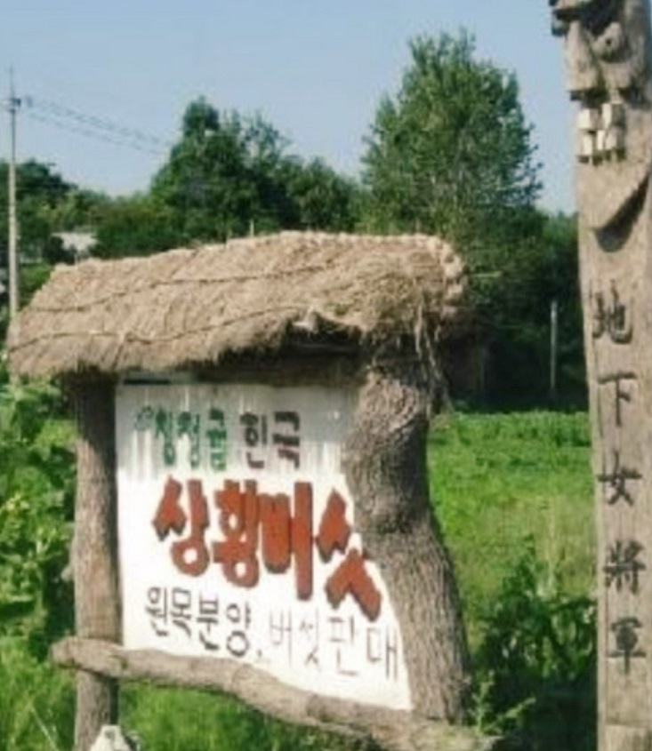 상황버섯-공중재배법-고범수