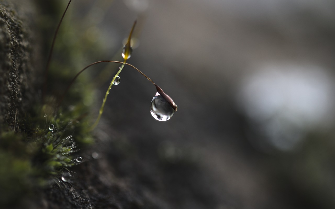 선택적 근로시간제