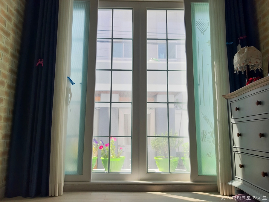 창 밖에 봄 햇살 디카시
