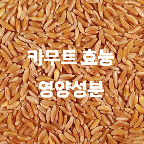 카무트 효능