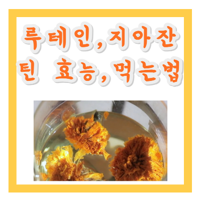 루테인 지아잔틴