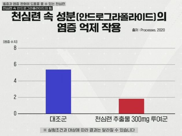 천심련 효능