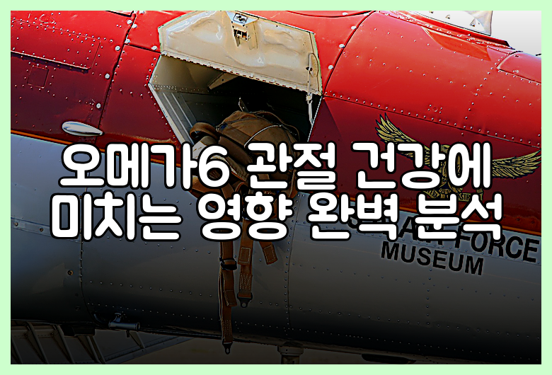오메가6 관절 건강에 미치는 영향 완벽 분석