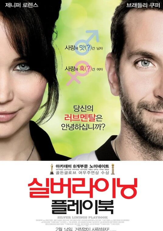 Silver Linings Playbook 영화 포스터 사진