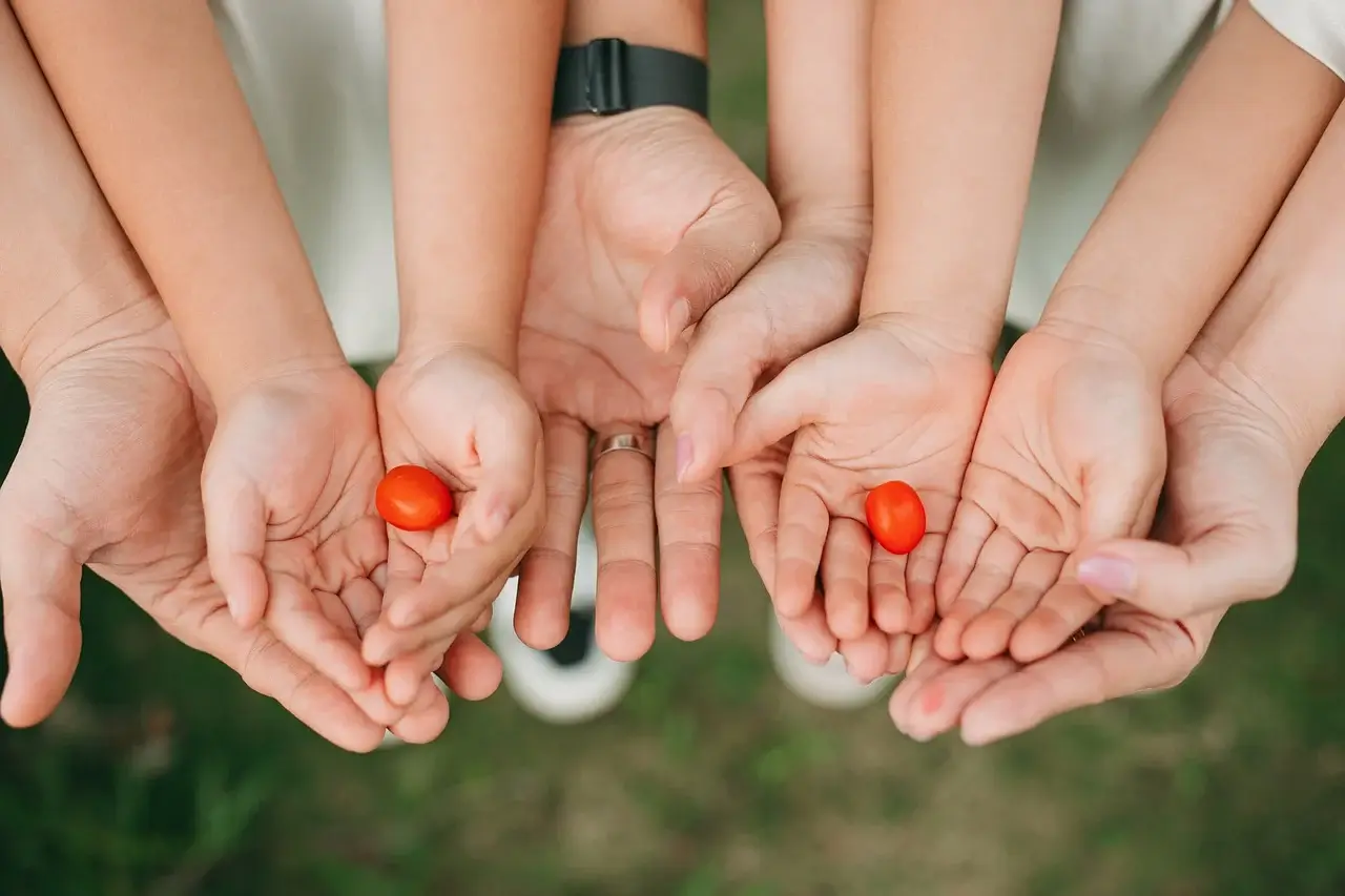 성경에 나타난 경제관념 창세기에 나타난 하나님의 경제질서(경제원리)