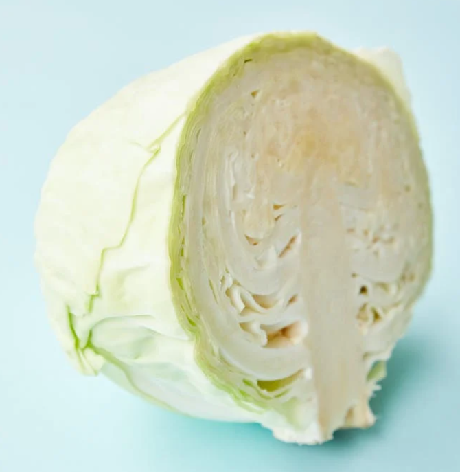 양배추와 상극인 과일