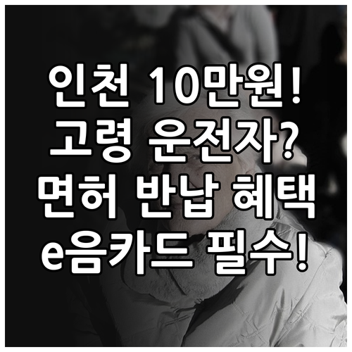 2025 인천e음카드 10만원 고령 ..