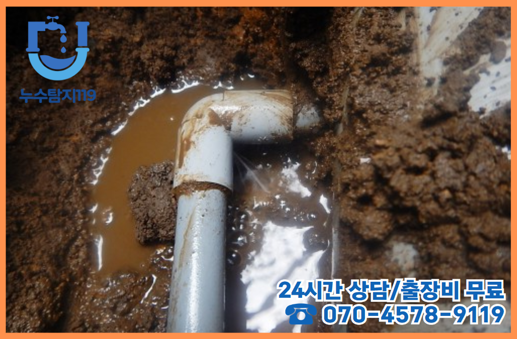 원촌동 주택, 상가, 건물3