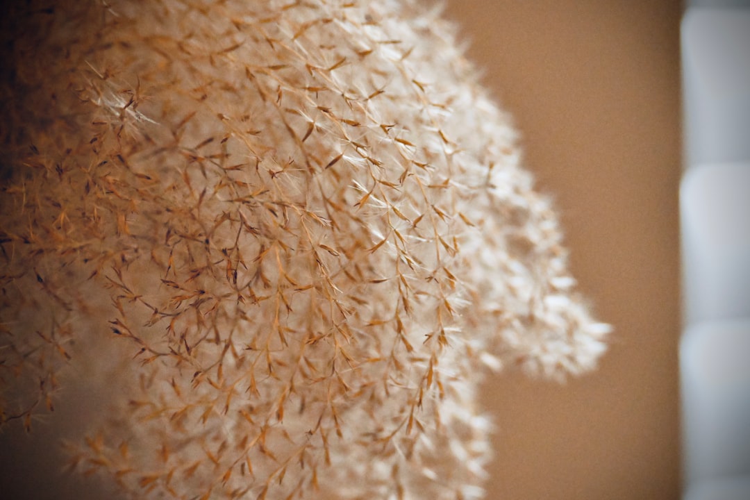 '찰밥' (steamed sticky rice)