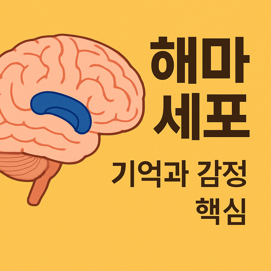 해마 세포, 기억과 감정의 핵심을 지키는 방법 썸네일