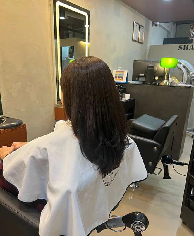 몽헤어