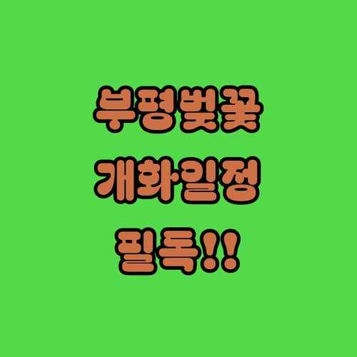 부평구 벚꽃 개화 예상일과 명소별 특..