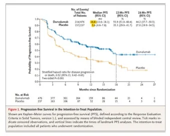 폐암 면역항암제 치료비 절반으로 줄이는 보험 활용 전략으로 실전팁_12