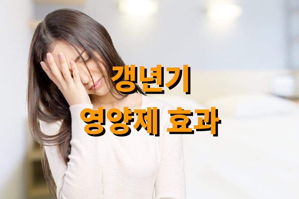 갱년기 영양제 효과 활용법 기능성식품