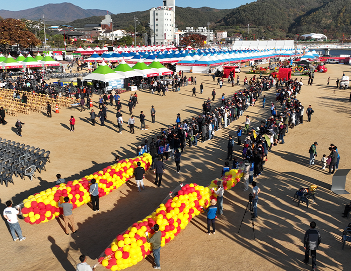 황금사과를 찾아라