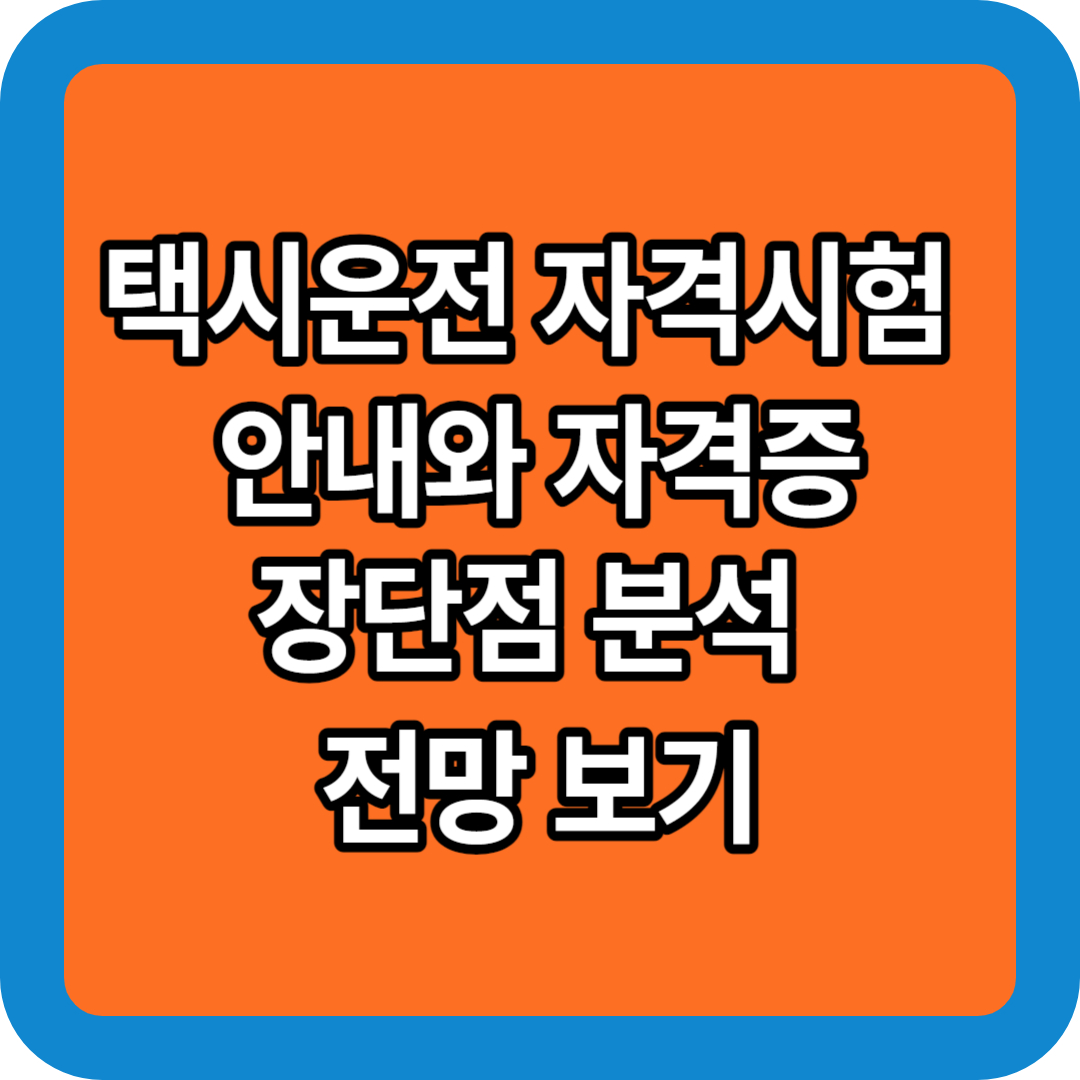 택시운전 자격시험 안내와 자격증 장단점 분석 전망 보기