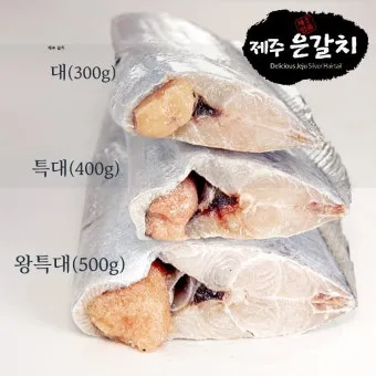 제주 갈치 낚시 물때 포인트_10