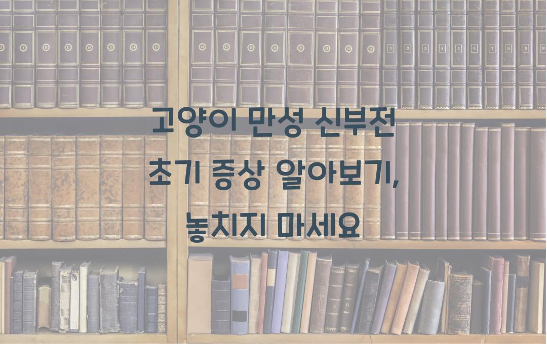 고양이 만성 신부전 초기 증상 알아보기