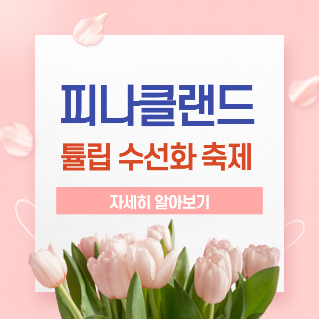 피나클랜드 튤립 수선화 축제&#44; 불꽃 축제&#44; 기간 및 입장료