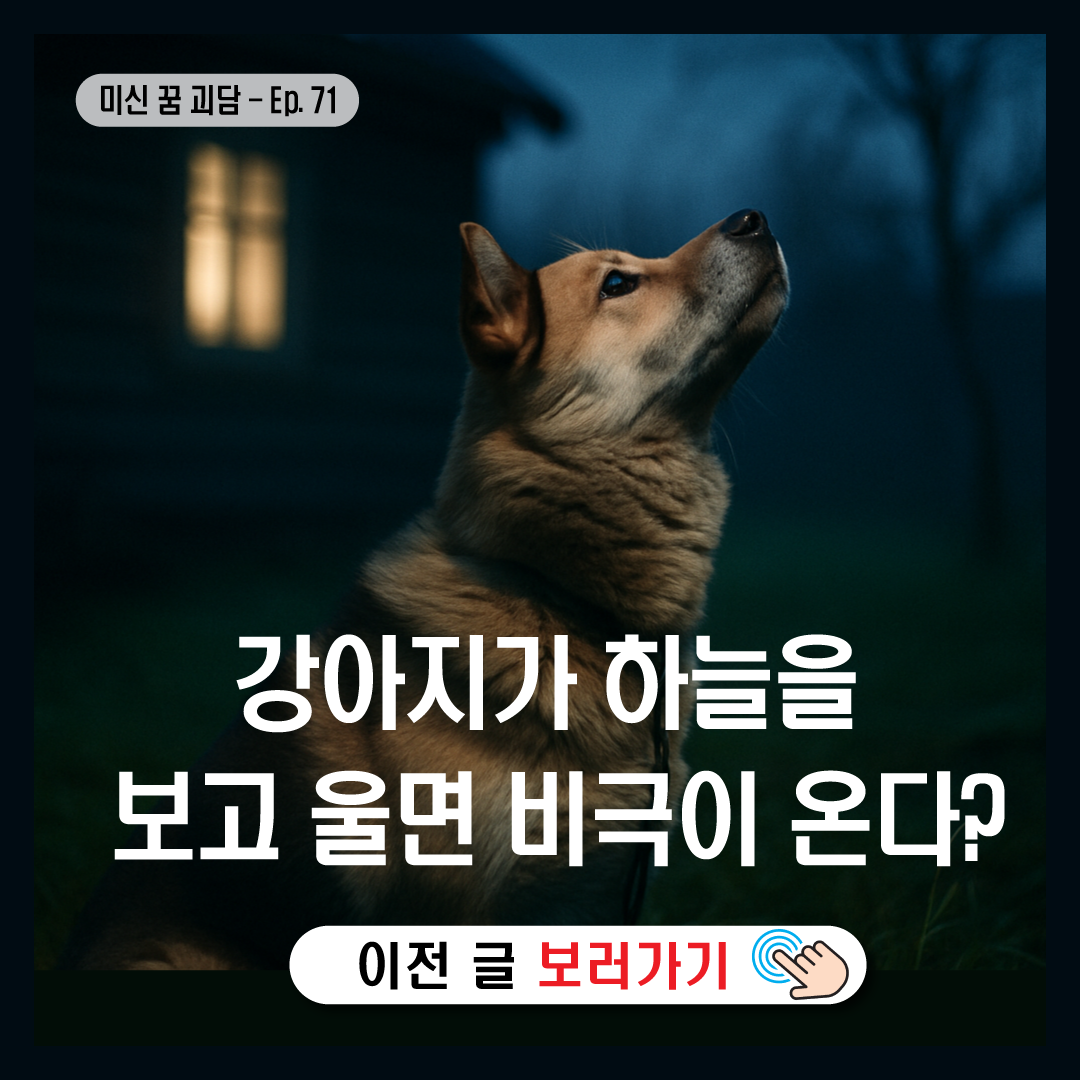 강아지가 하늘을 보고 울면 비극이 온다?-썸네일