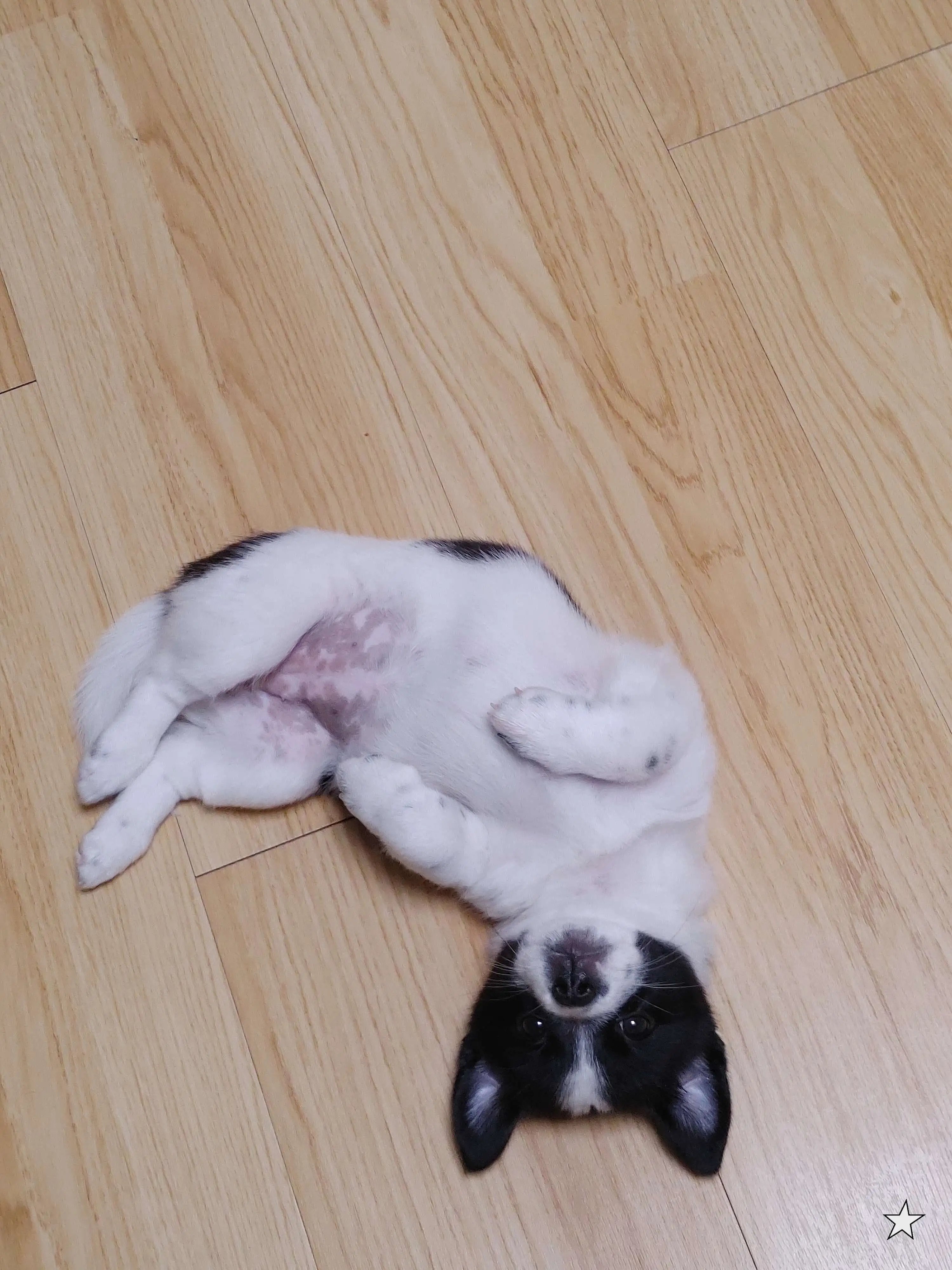 바닥에 누워 특이한 자세로 쉬고 있는 어린 시절 행복이