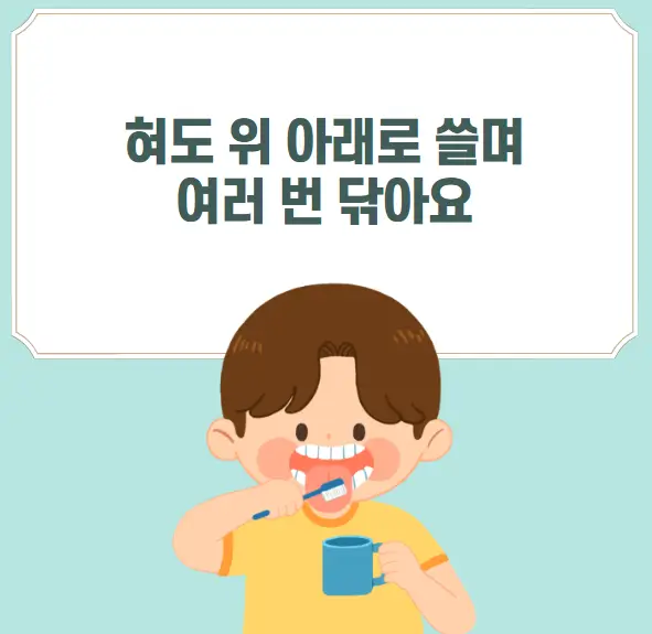 올바른 양치질 방법