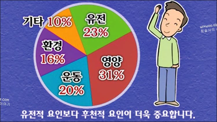 키 환경적 요소