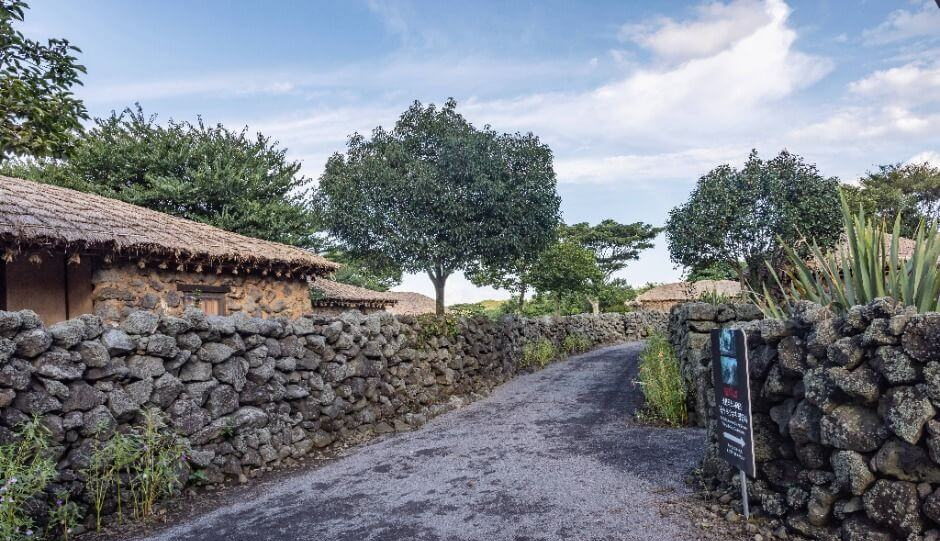 제주 반려견 겨울 나들이 명소, 강아지와 함께 걷기 좋은 산책 코스