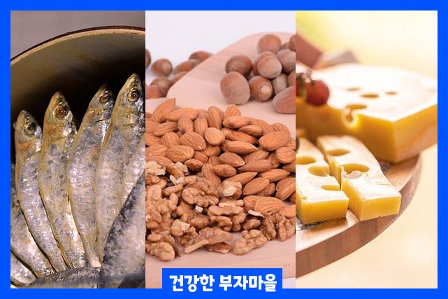 칼슘, 비타민D, 단백질이 풍부한 음식 섭취하면 골다공증 예방에 도움