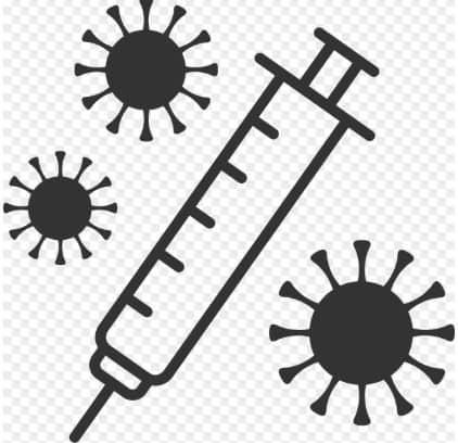 편평사마귀의 원인: HPV 감염과 피부 손상의 연관성