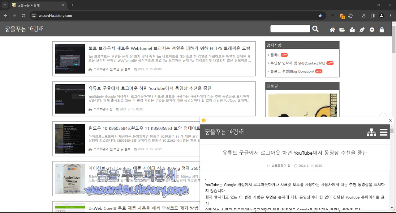 구글 크롬 미리 보기
