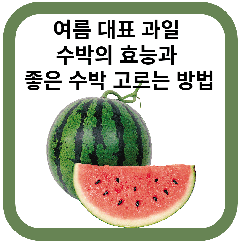 수박의 효능과 부작용
