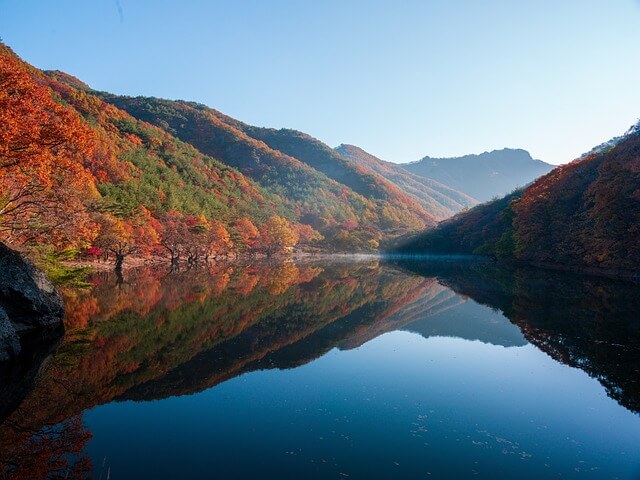 주왕산단풍