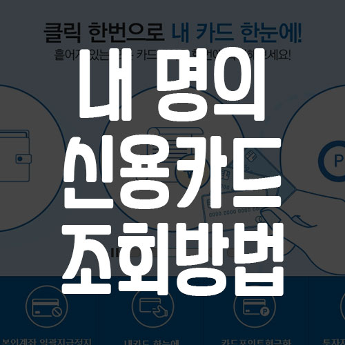 내 보유 신용카드 전체 조회