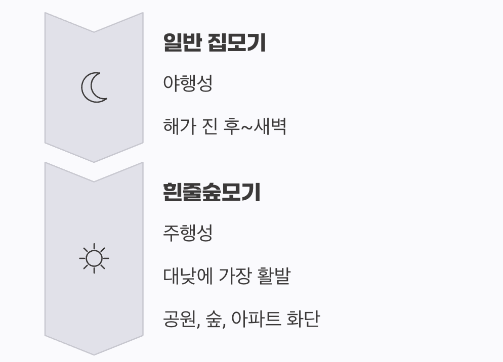 밤의 불청객 vs 대낮의 암살자