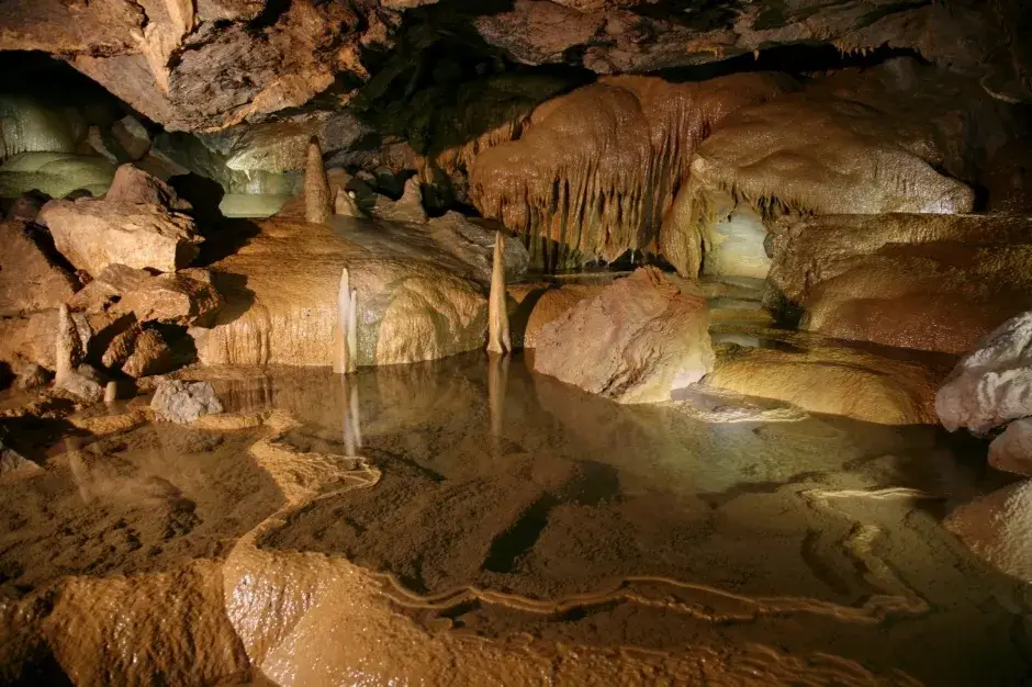 대금굴 관람 예약