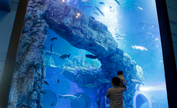 단양 아쿠아리움