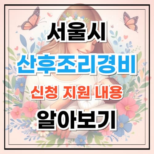 서울시 산후조리경비 신청 지원 내용 알아보기