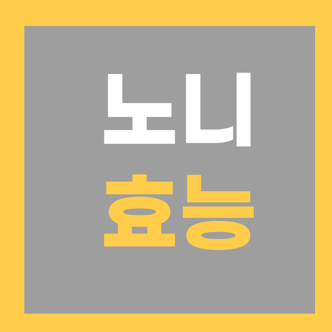 노니 효능