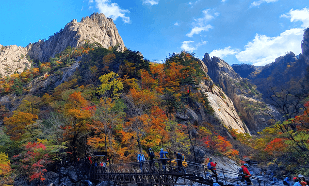 2024 설악산 단풍축제: 가을의 아름다움을 만끽하는 방법 🍂