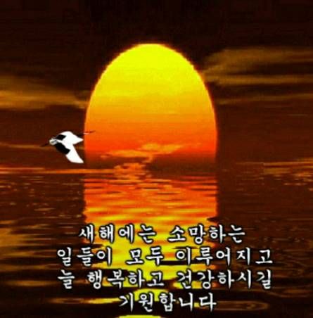 2023년 설날 인사말 문구 이미지 모음