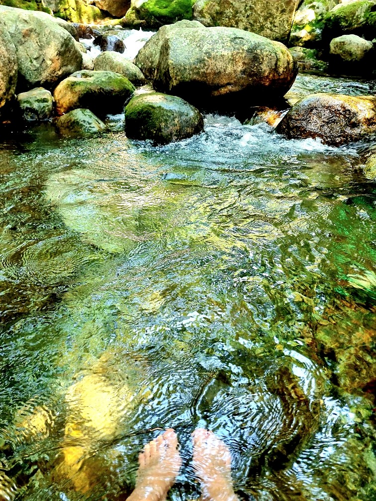 지리산 하동 쌍계사 계곡 신진식당 옆 신흥식당: 계곡 물놀이&amp;#44; 발 담그고 백숙 먹기