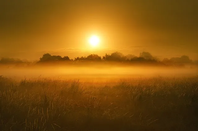 평택지제역 SRT 기차 시간표 확인과 예매 노하우 소개_1